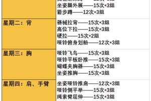  如何制定前锋的个人训练计划：提升竞技水平的关键策略